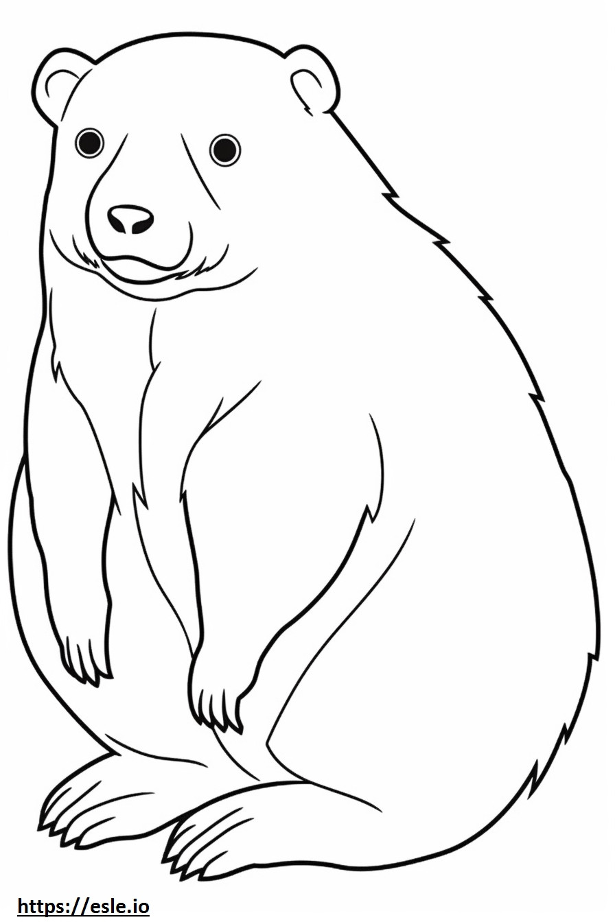 Borkie cute coloring page