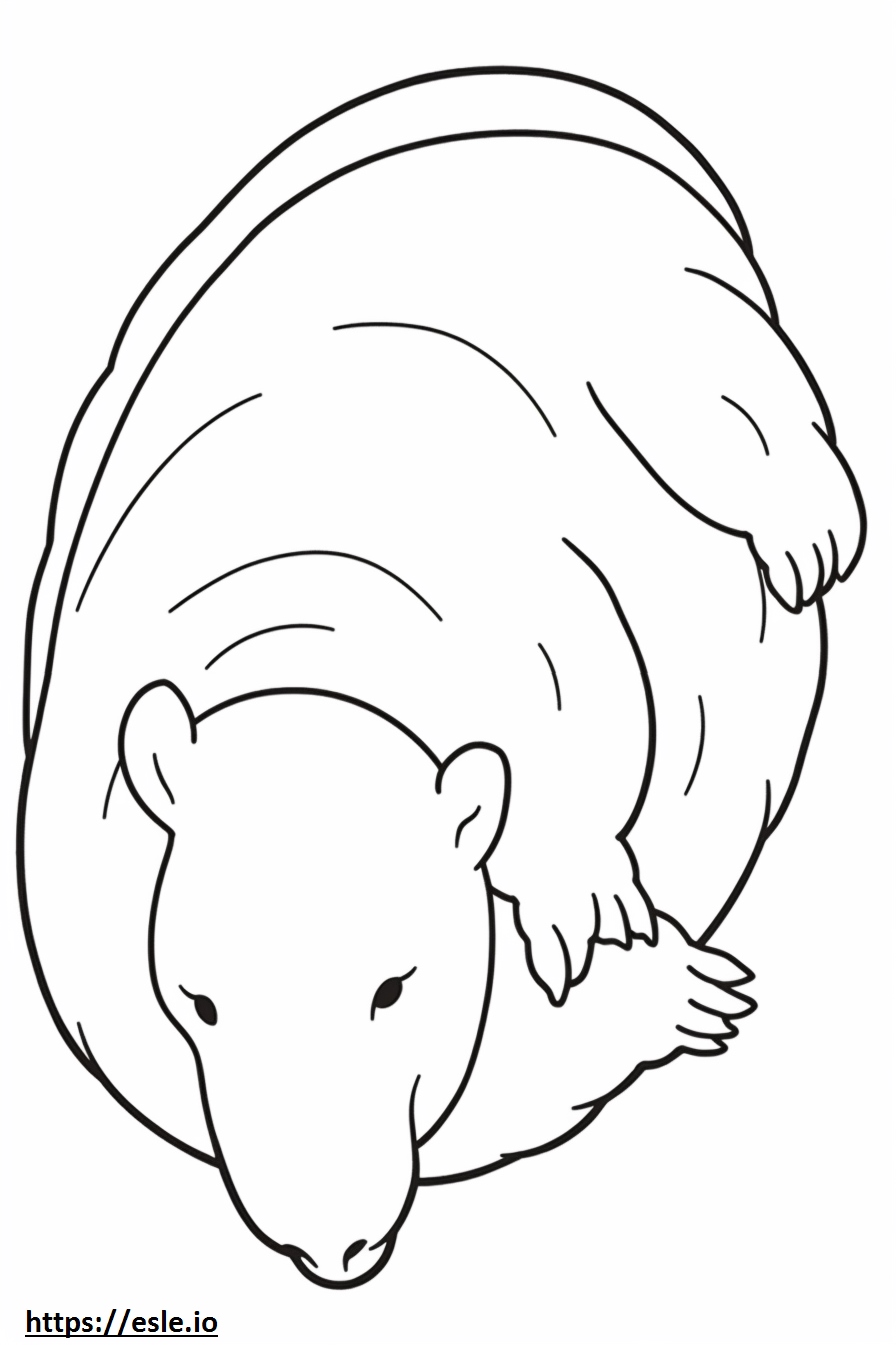 Borkie Sleeping coloring page