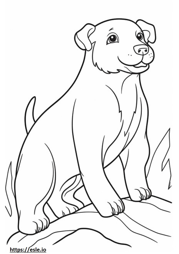 Borkie Playing coloring page