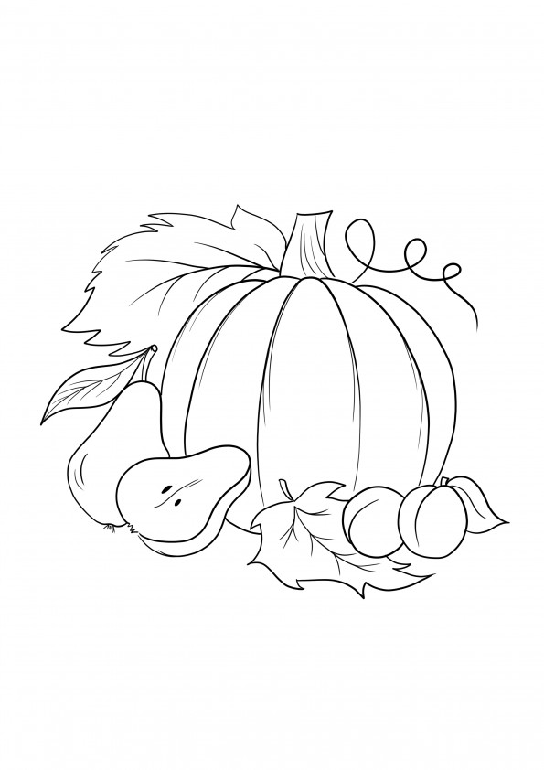 Autumn harvest coloring picture simple to print or download