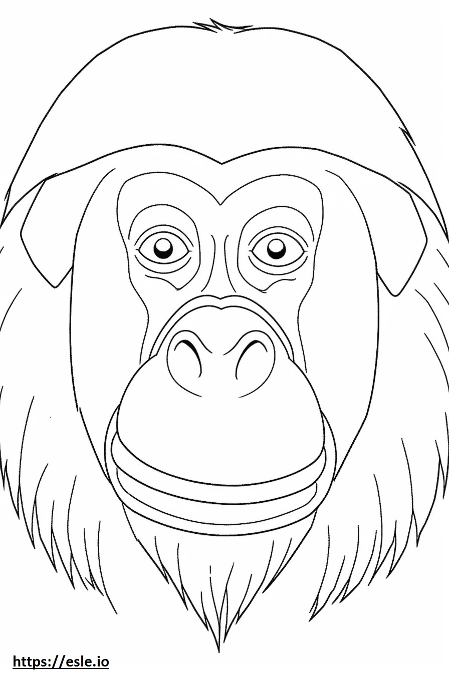 Wajah Orangutan Kalimantan gambar mewarnai
