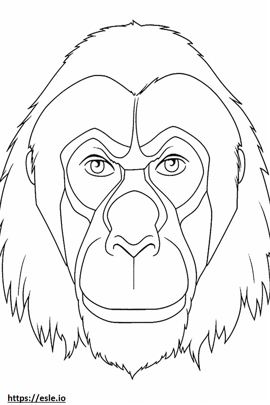 Bornean orangutan kasvot värityskuva