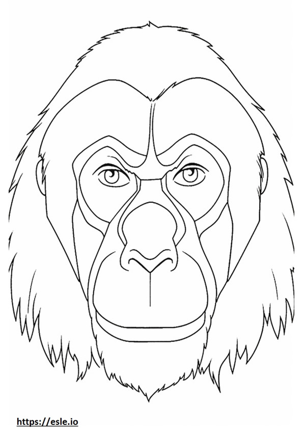 Borneai orangután arc szinező