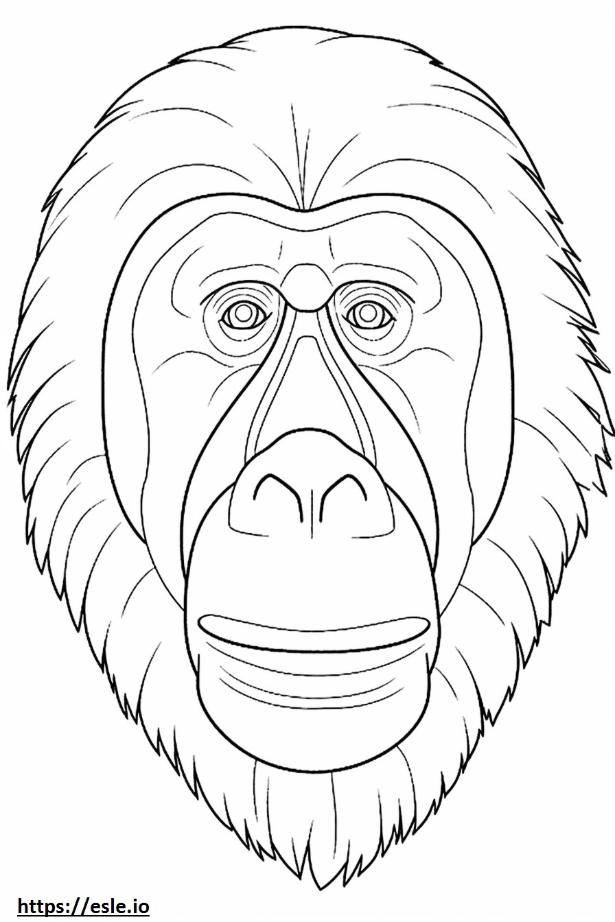 Twarz orangutana borneańskiego kolorowanka