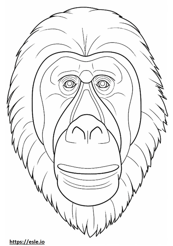 Faccia di orango del Borneo da colorare