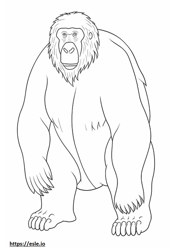 Borneai orangután teljes test szinező