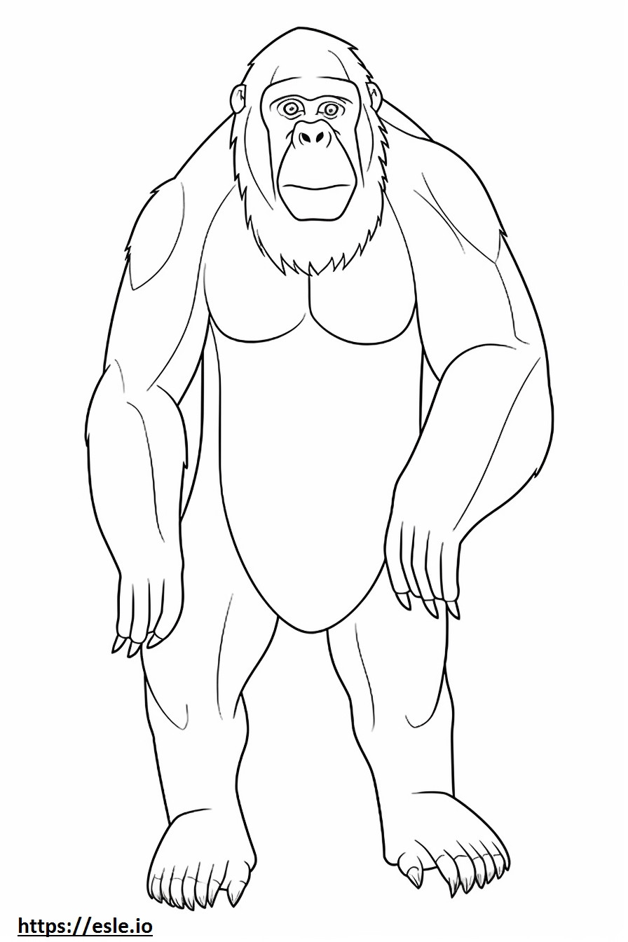 Corpo inteiro do orangotango de Bornéu para colorir