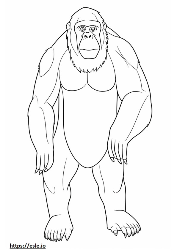 Borneose orang-oetan volledig lichaam kleurplaat