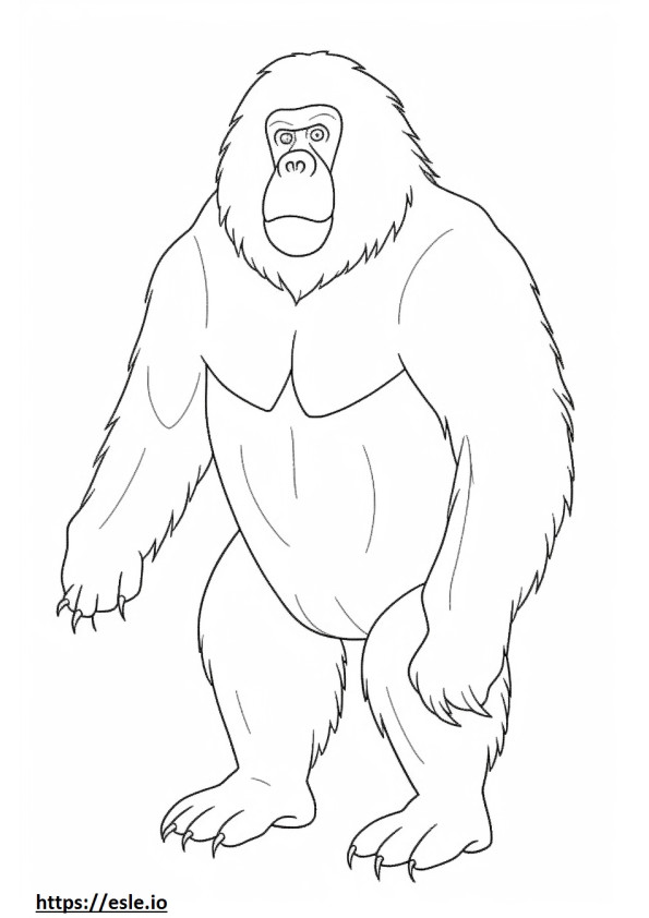 Bornean Orangutan full body coloring page