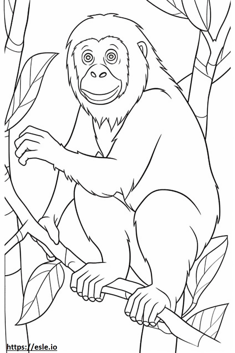 Bebê orangotango de Bornéu para colorir