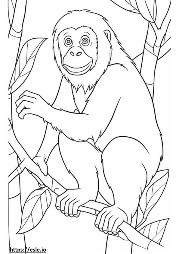 Bebé orangután de Borneo para colorear e imprimir