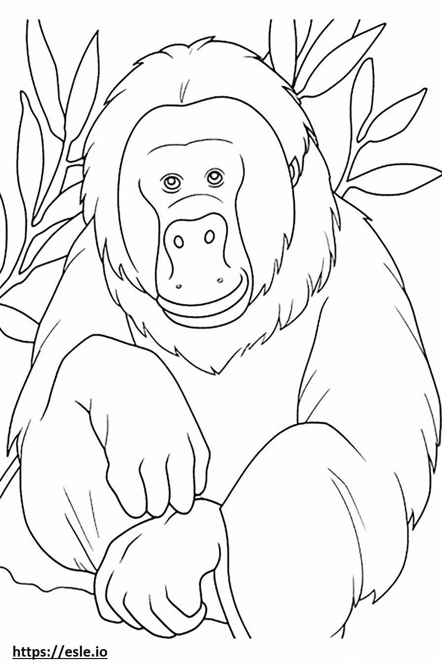 Orangotango de Bornéu fofo para colorir