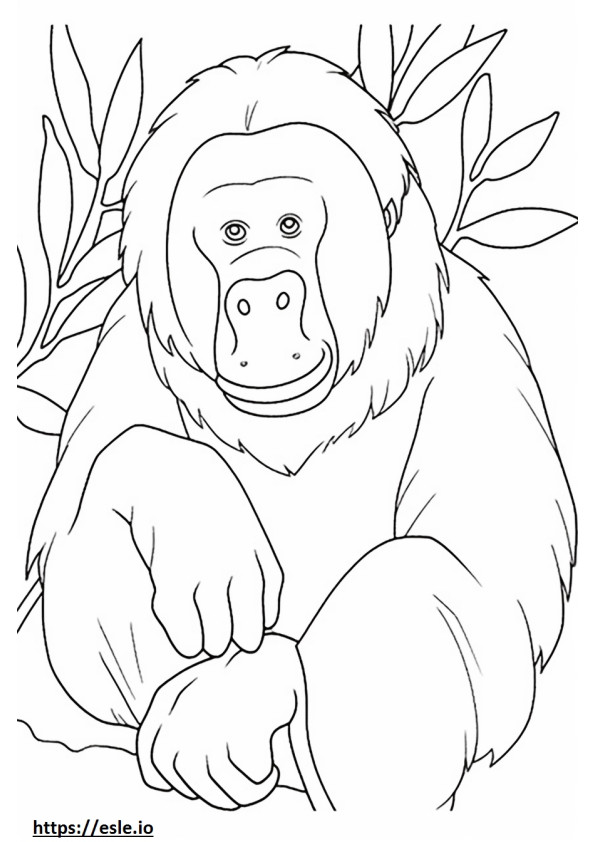 Orangutan borneański uroczy kolorowanka
