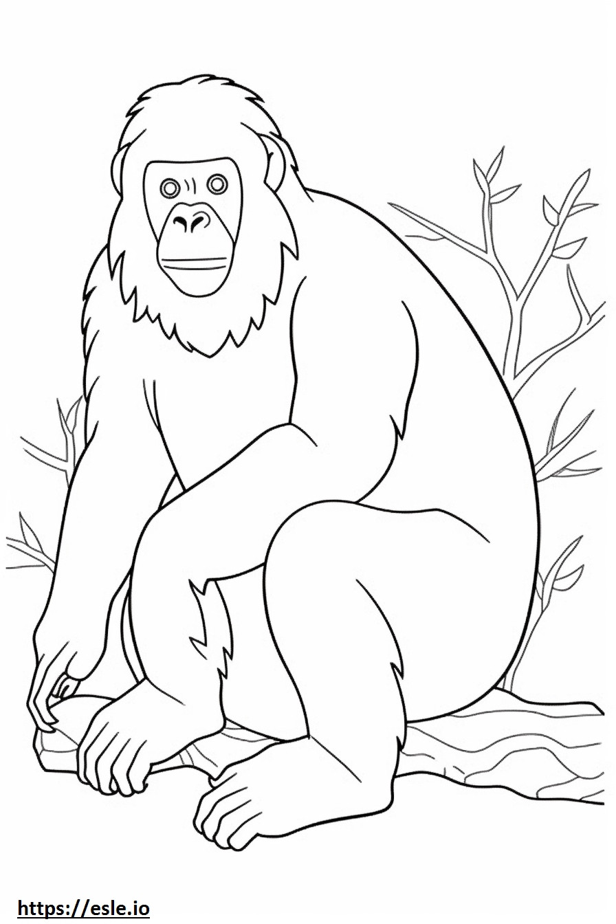 Orangotango de Bornéu fofo para colorir