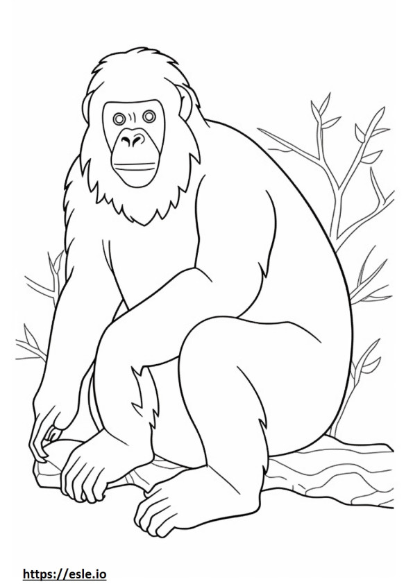 Orangutan Kalimantan lucu gambar mewarnai