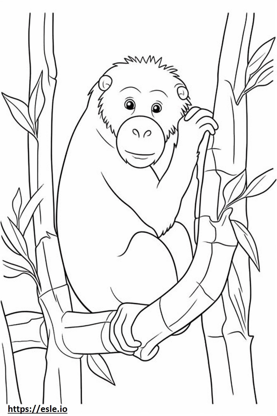 Bermain Orangutan Kalimantan gambar mewarnai