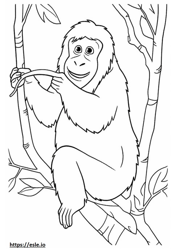 Orangotango de Bornéu brincando para colorir