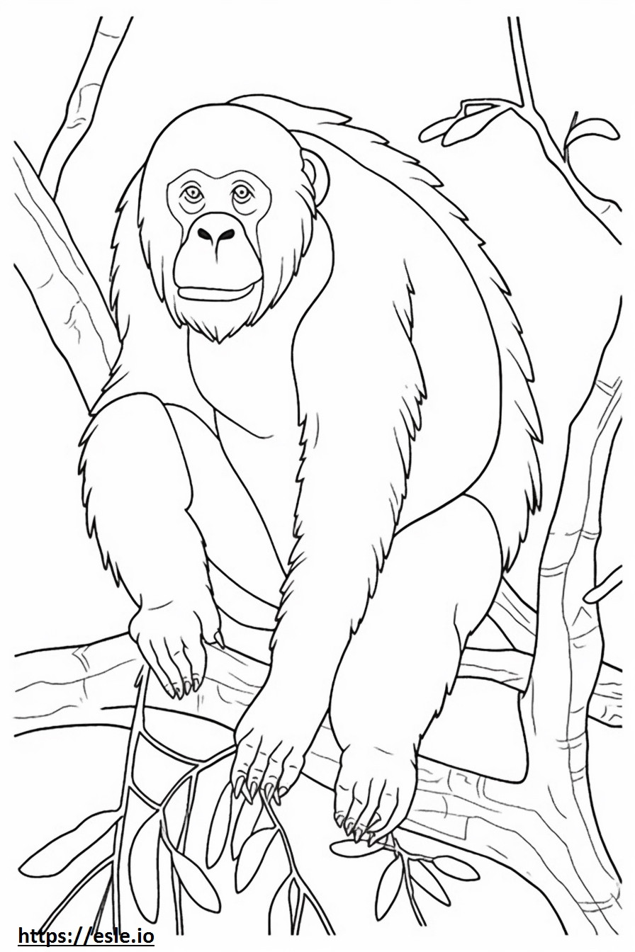 Amigable con los orangutanes de Borneo para colorear e imprimir