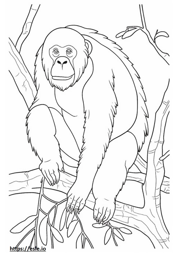 Coloriage Amical pour les orangs-outans de Bornéo à imprimer