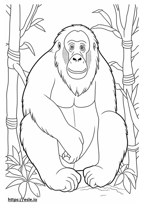 Amigável ao orangotango de Bornéu para colorir