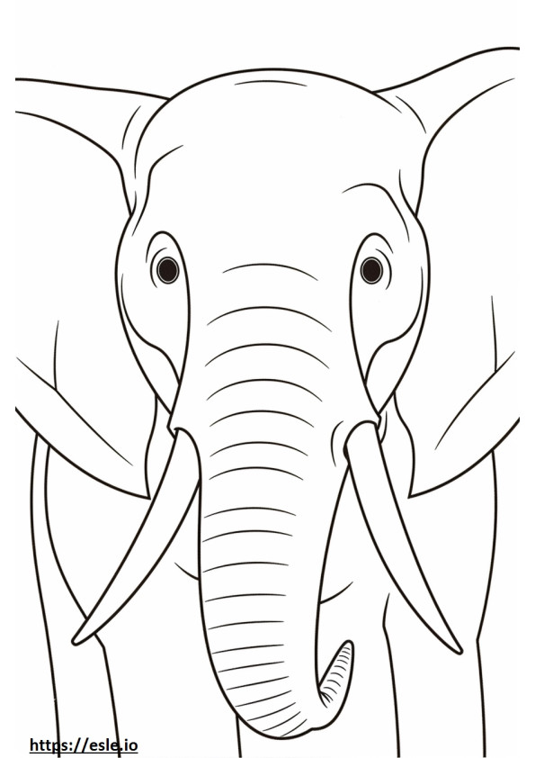 Borneon elefantin kasvot värityskuva