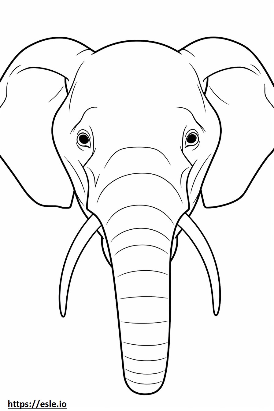 Borneon elefantin kasvot värityskuva