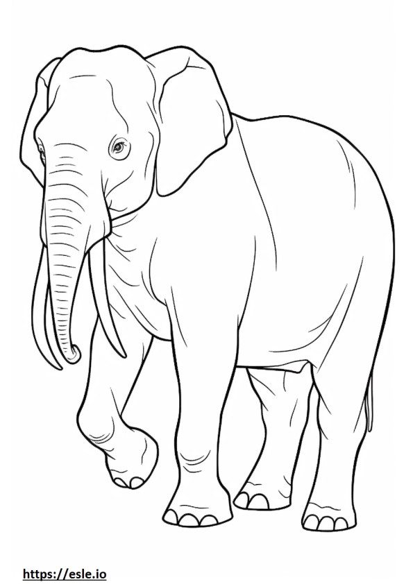 Ganzkörper eines Borneo-Elefanten ausmalbild