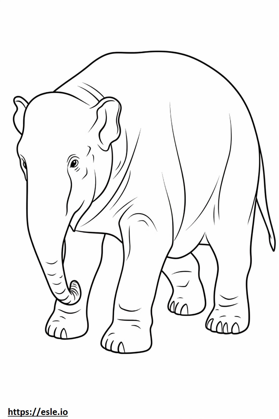 Elefante de Borneo de cuerpo entero para colorear e imprimir
