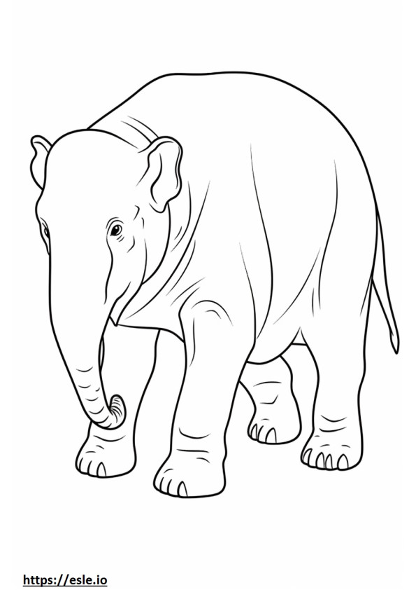 Corpo inteiro do elefante de Bornéu para colorir