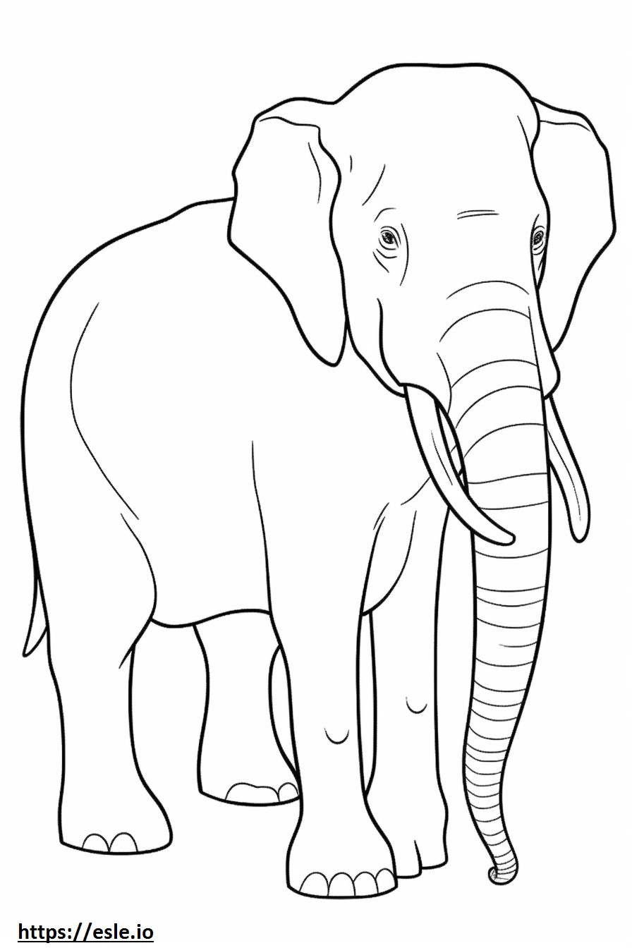 Gajah Kalimantan seluruh badannya gambar mewarnai