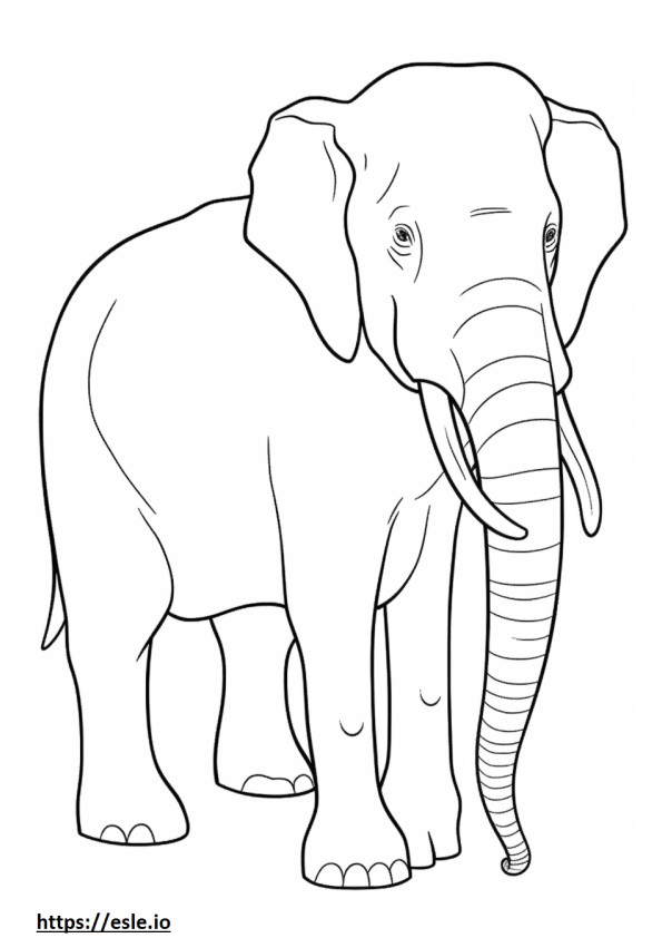 Borneo Elephant full body coloring page