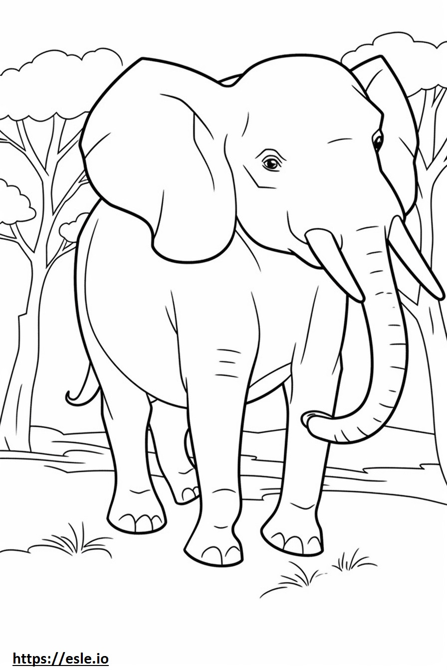 Corpo inteiro do elefante de Bornéu para colorir