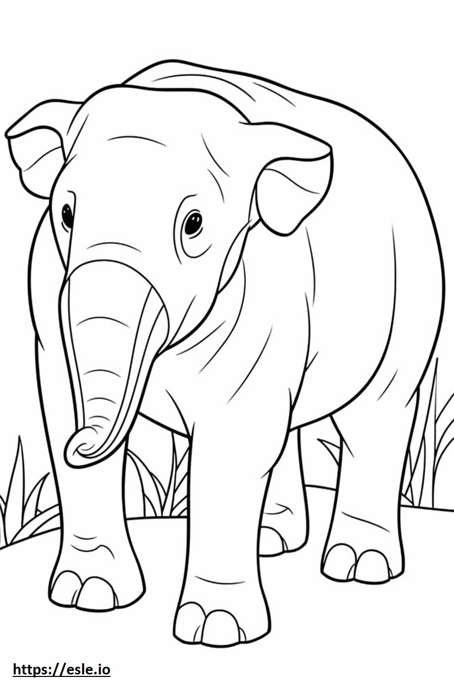 Coloriage Bébé éléphant de Bornéo à imprimer