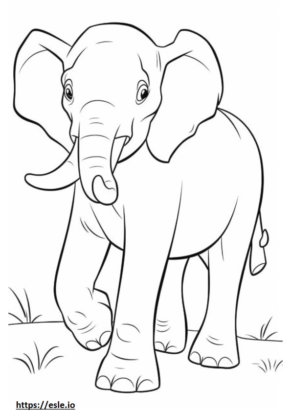 Borneo Elephant baby coloring page