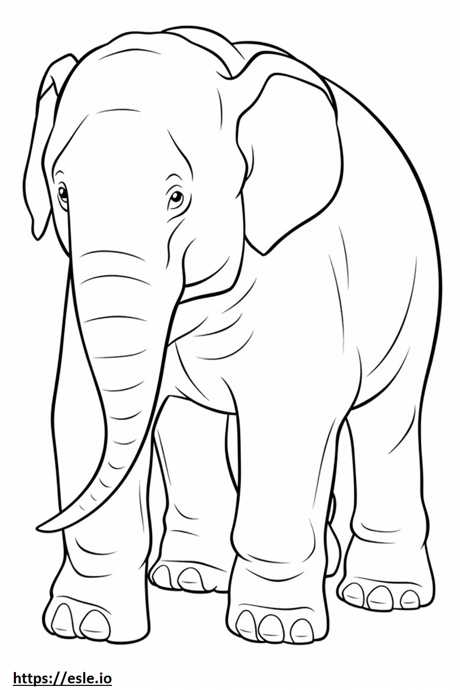 Dziecko słonia Borneo kolorowanka