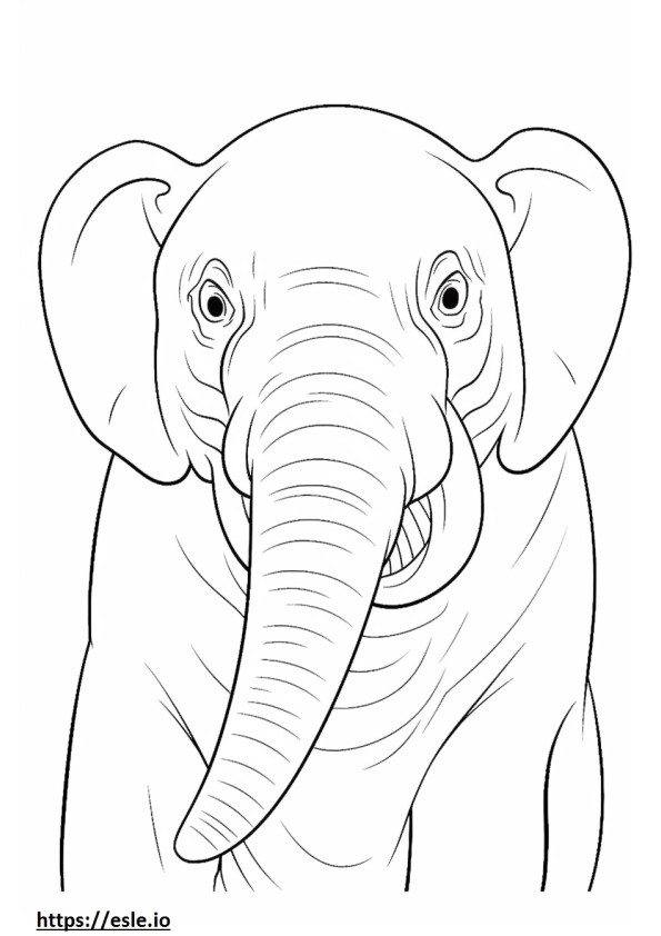 Emoji de sorriso de elefante de Bornéu para colorir