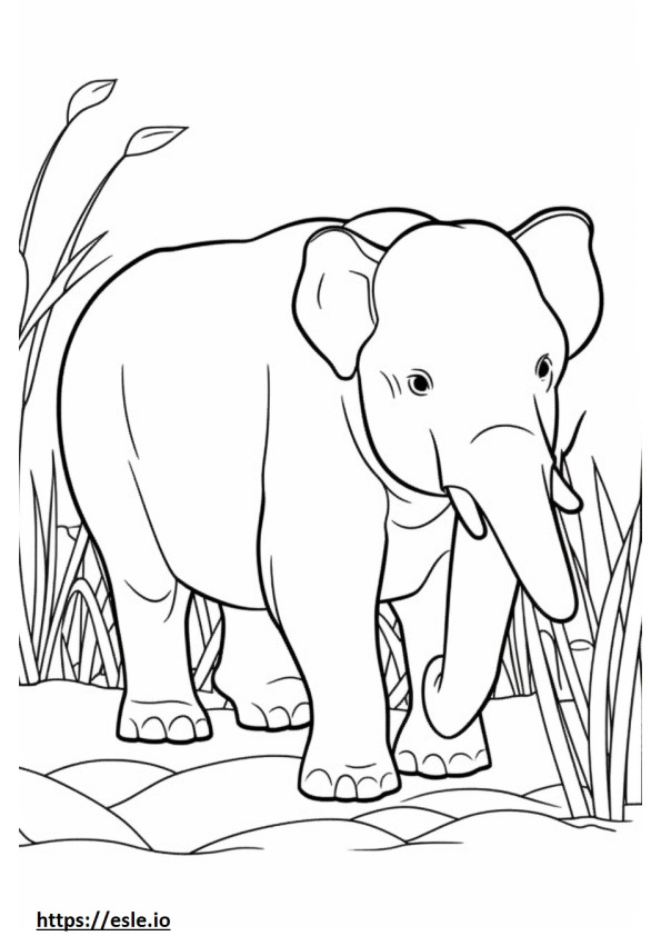 Kartun Gajah Kalimantan gambar mewarnai