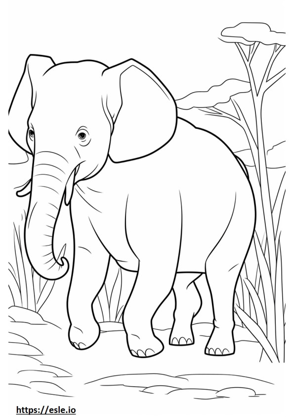 Desenho de elefante de Bornéu para colorir