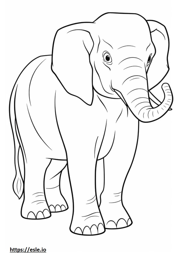 Cartone animato dell'elefante del Borneo da colorare