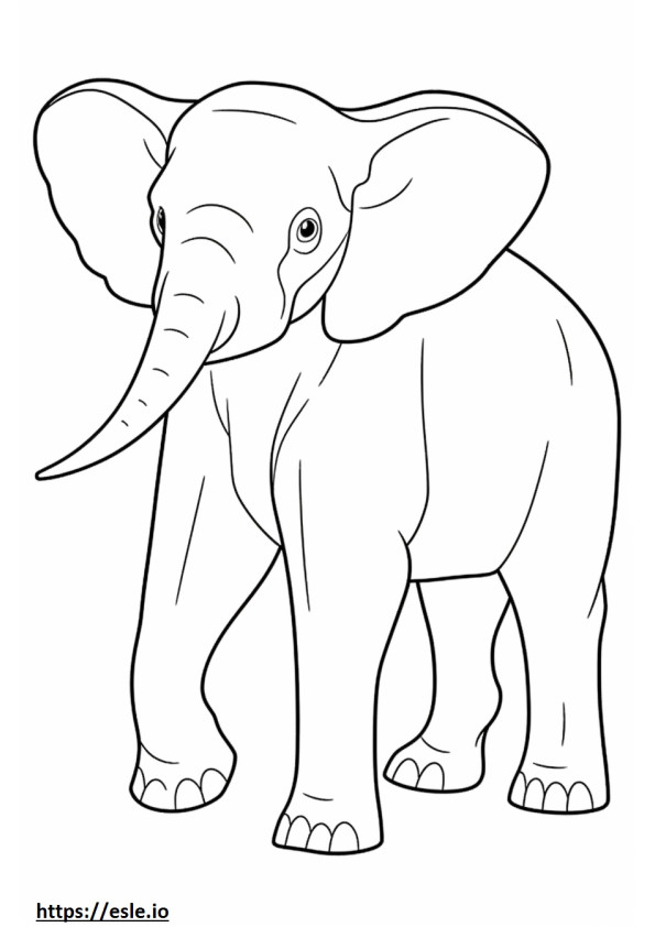 Borneon elefantti söpö värityskuva