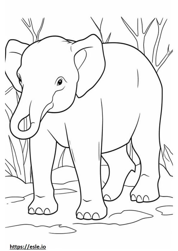 Elefante de Bornéu fofo para colorir