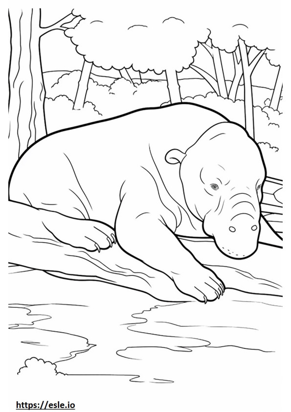眠るボルネオゾウ ぬりえ - 塗り絵