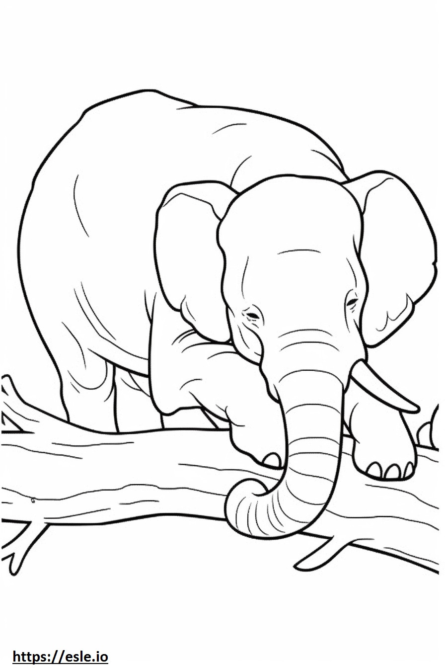 Borneon elefantti nukkuu värityskuva