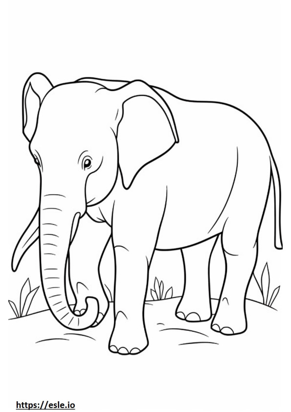 Borneon elefantti leikkii värityskuva