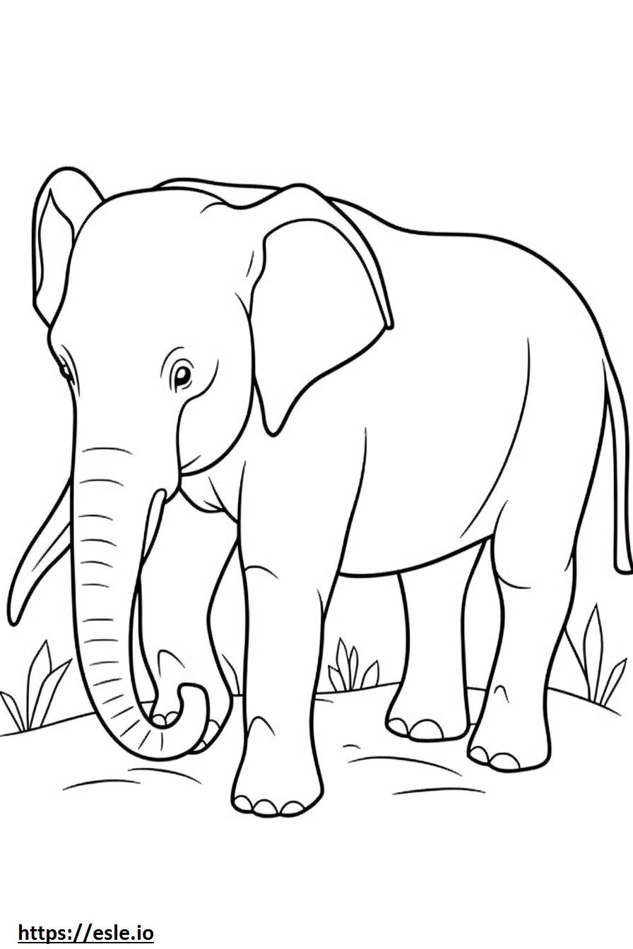 Borneo Elephant Playing 3 Coloring Page