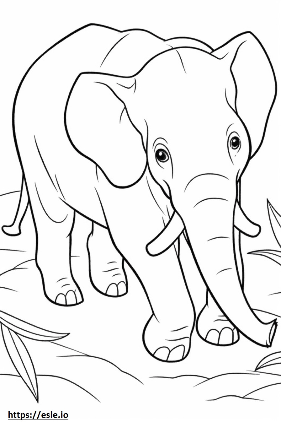 Elefante de Bornéu Kawaii para colorir