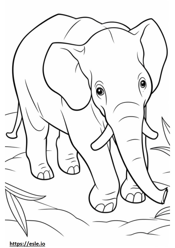 Elefante de Bornéu Kawaii para colorir