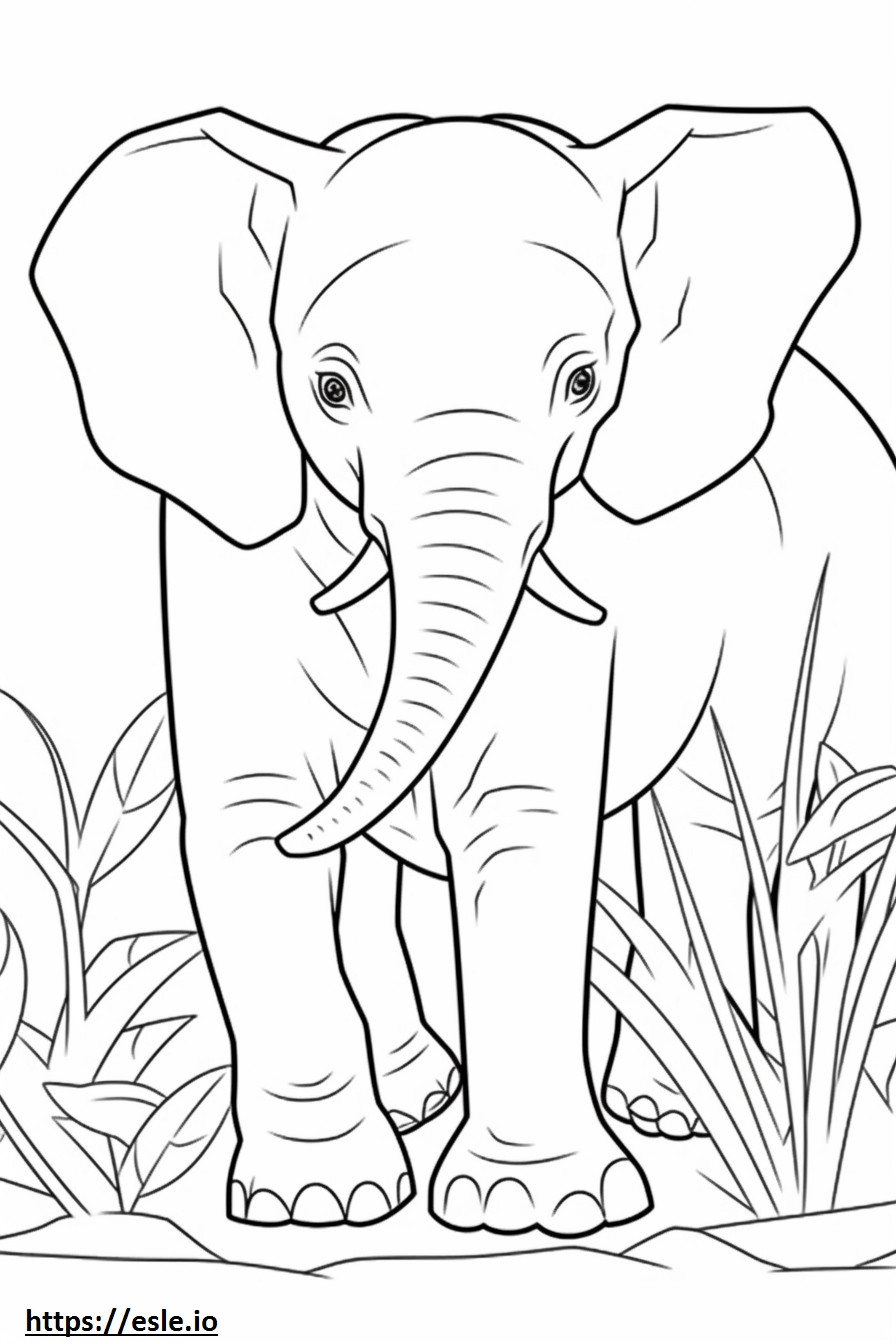 Kawaii Gajah Kalimantan gambar mewarnai
