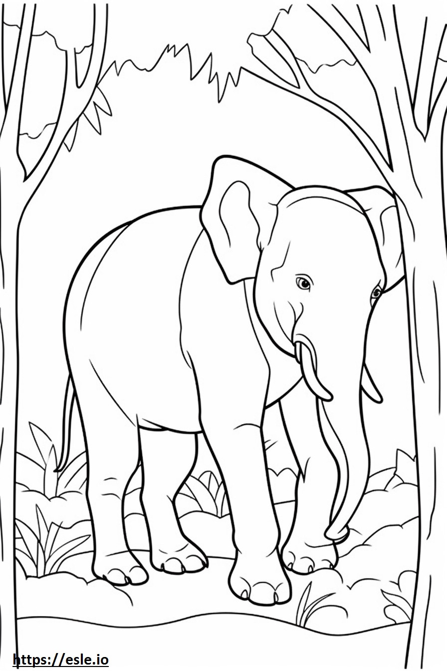 Bornéu Elefante Amigável para colorir