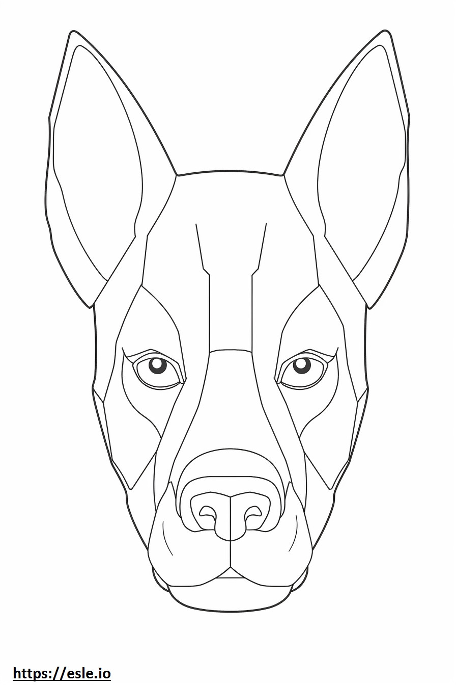 Gesicht des Boston Terriers ausmalbild